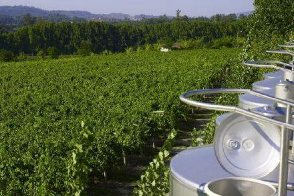 Wein und Spirituosen